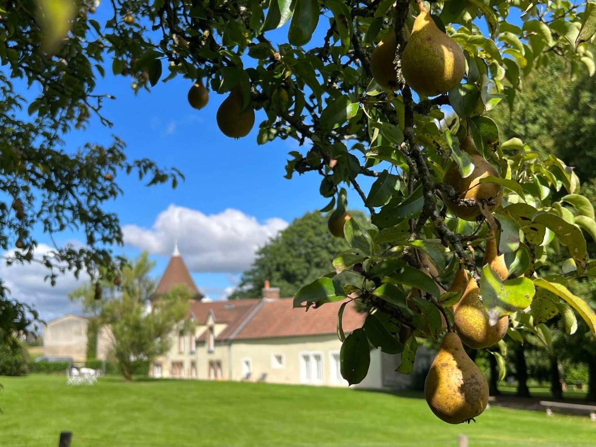 Le Petit Chateau Baye  Exterior foto